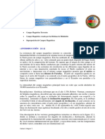 Informe 1