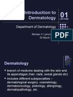 Litvinenko Introduction Dermatology Eng