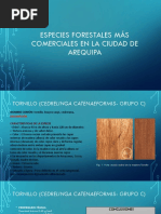 Especies Forestales