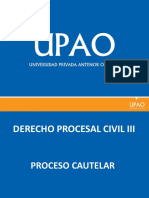 El Proceso Cautelar