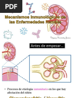 Mecanismos Inmunológicos de Las Enfermedades Renales