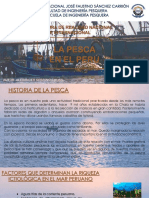 Monografia de Realidad Nacional e Internacional (Pesca en El Perú)