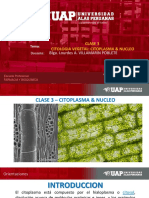 2019 - BF - Clase 3 - Citologia Vegetal - Citolasma & Nucleo