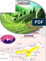 Assam