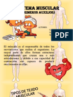 Sistema Muscular