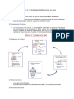 Informe 2