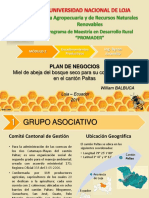 Plan de Negocios Miel de Abeja PDF