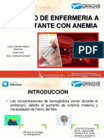 Cuidados de Enfermería A La Gestante Con Anemia