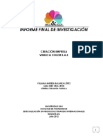 Informe Final - Vinilo y Color PDF