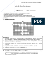 Evaluación Sist Endocrino