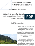 කදුකරයේ වනාන්තර හා පාරිසරික සම්පත් සුරැකීමට සිරසට ව්‍යාප්ත වන මානව ජනාවාස