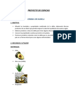 Feria Ciencias 2018 Ladrillo Ecologico Proyecto