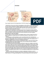 Reproductive System: Reproductive Cells and Gonads