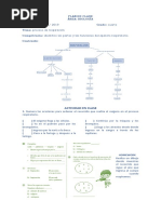 Plan de Clases 6 de Mayoll