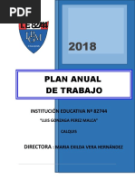 PlanAnualDeTrabajo2018 MSD