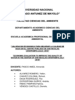 Informe Final de Economia Final Final