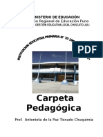 Carpeta Pedagogica