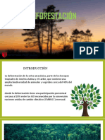 Deforestacion