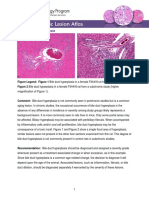 Liver-Bile Duct Hyperplasia 508