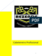 Cabeleireiro Profissional - VL2 Rezende PDF