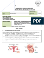 6 U1 Prueba 2 Sistemas Reproductores F y M