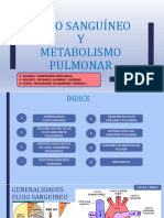 16 Flujo Sanguíneo y Metabolismo Pulmonar Campoverde Peña