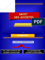 Partie 1 Droit Des Societes