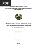 RENATA - DANDREA PHD Tesis PDF