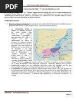 TEMA 12 Pueblos Prerromanos 1 Eso