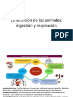 Tema Digestion Animal