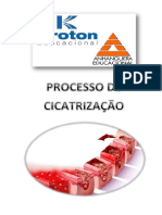 Processo de Cicatrização