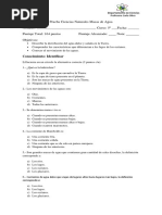 Prueba Ciencias Naturales 5 Masas de Agua 2019