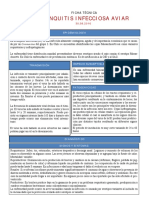 Bronquitis Infecciosa