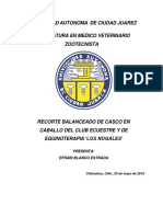 PDF Documento