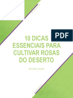 10 Dicas Essenciais para Cultivar Rosas Do Deserto