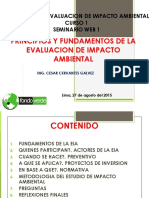 Seminarioweb Principiosyfundamentosdelaeia 150827203931 Lva1 App6891