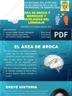 El Área de Broca