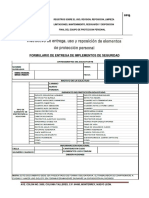 Formulario de Entrega de Implementos de Seguridad