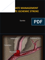 An Update Management of Acute Ischemic Stroke: Suroto