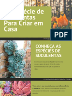 Suculentas e Cactos para Cultivar em Casa