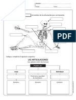 Articulaciones PDF