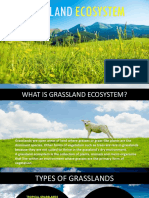 Grassland Ecosystem