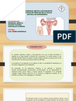 Diapositiva de Embarazo Ectopicoo