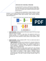 Haga Un Diagrama de Las Diferencias Entre El Extracelular y El Intracelular