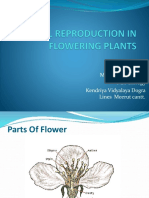 Sexual Reproduction in Flowering Plants