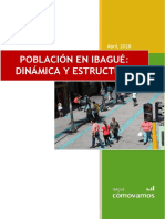 Boletín 6. Población en Ibagué Dinámica y Estructura