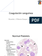 Coagulación Sanguínea