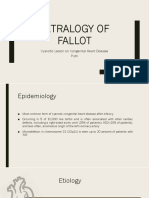 Tetralogy of Fallot: Cyanotic Lesion On Congenital Heart Disease Putri