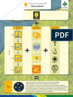 Fluxograma de Progressao Ramo Lobinho PDF