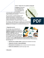 Pasos de La Auditoría Ambiental